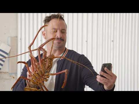download lagu mp3 mp4 The Lobster Shack, download lagu The Lobster Shack gratis, unduh video klip The Lobster Shack