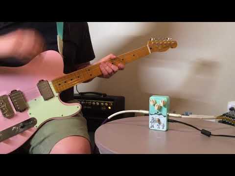 Animals Pedal Fishing Is As Fun As Fuzz | Singlecoils & Humbuckers | Cats