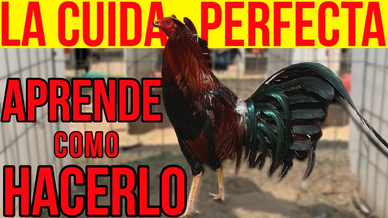 PERFECT CARE..... THE SECRET