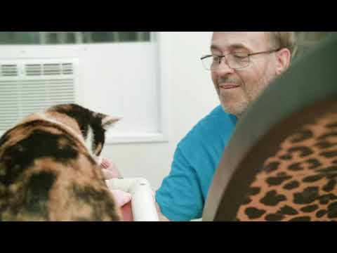 Help Blind Cats See a Future!