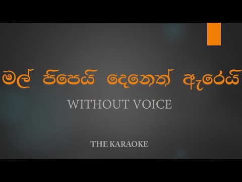 Mal Pipei Deneth Arei Karaoke - මල් පිපෙයි දෙනෙත් ඇරෙයි Without Voice | The Karaoke