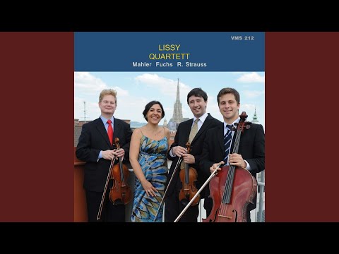 Quartet for Piano, Violin, Viola and Cello in B Minor: No. 1, Allegro risoluto