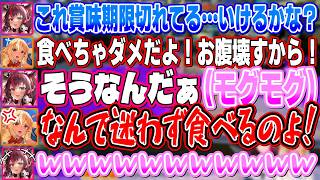 配信でとんでもないド下ネタを言ってしまういつも通りちょっとえっちなアイリスと叡智なふーたん【不知火フレア/IRyS/ホロライブ】