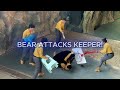 Black Bear ATTACKS Zookeeper In Front Of Crowd Hangzhou Zoo Shocked Dec 2025