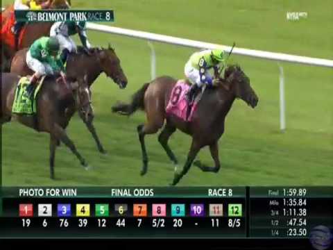 2017 Belmont Oaks - New Money Honey