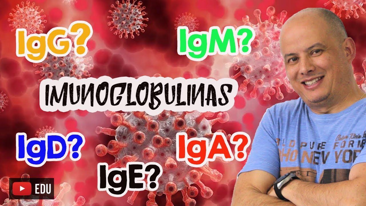 Como funcionam os anticorpos I Imunidade I Covid - 19