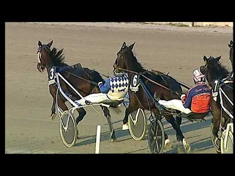 Napoli Trotto 12/12/2021 - 5ª corsa