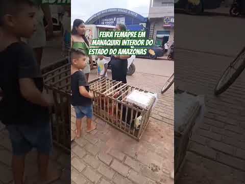 Tem alguém de Manaquiri ? #Manaquiri #amazonas #viral #feira #mercado #foryou #fy #travel #turismo