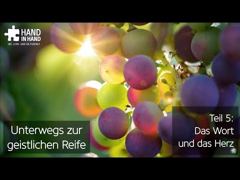 Videovorschau