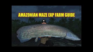 XP AND CASH FARM - Amazonian Maze - Fishing Planet