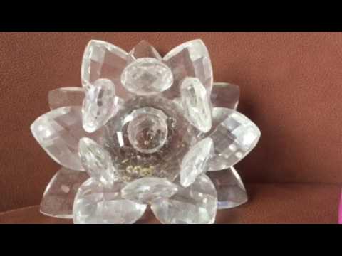 .~.Das Zellbewusstsein neu ausrichten. ~.