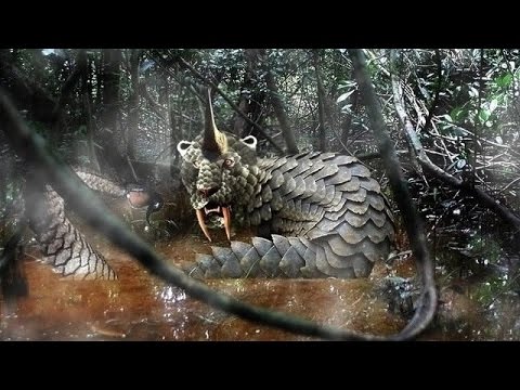 Cryptids and Monsters:  The Dingonek, 15-foot long armadillo-like cryptid with fangs and armor
