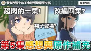 本集高甜？翔子登場令人失望？男主其實對郁實有醜惡想法？解答男主假貼文的真正用意？《青春豬頭少年不會夢到聖誕服女郎》第五集感想與原作補充【七月新番】