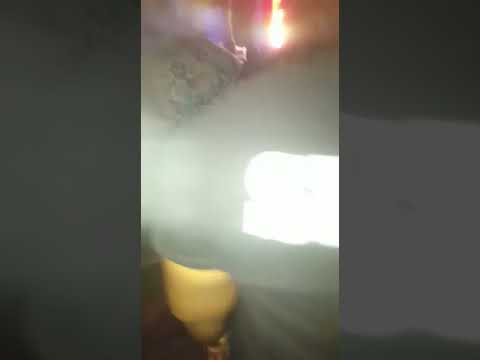 At sharkies sea food festival fhaya p shell down