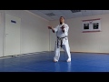 Okinawan Karate Kata Papuren Kata Group White Crane
