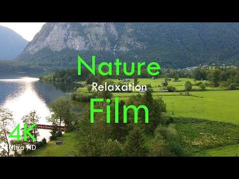 Oregon 4K Relaxation Film - Relaxing Piano Music - Nature 4K Video UltraHD