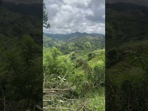 Paisajes los Amates Izabal