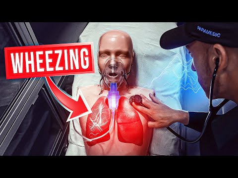 LUNG SOUNDS Taught In Under 14 Minutes...