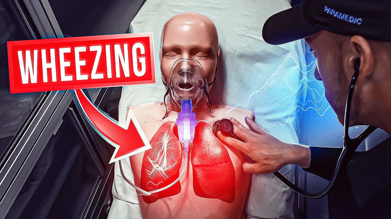 LUNG SOUNDS Taught In Under 14 Minutes...