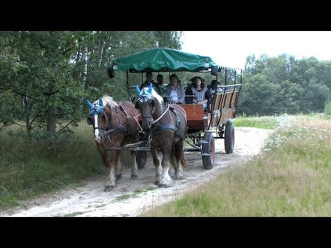 Bauernhofurlaub Hof Meinerdingen
