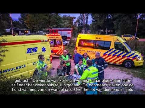 Vier wandelaars in Eindhoven gewond door hoornaars