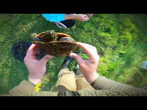 Crazy Bycatch Trout Fishing a Small Creek