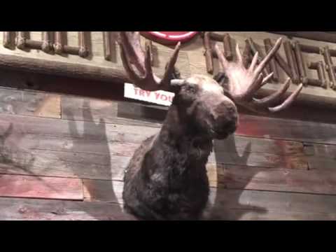 download lagu mp3 mp4 Bass Pro Shop Iowa, download lagu Bass Pro Shop Iowa gratis, unduh video klip Bass Pro Shop Iowa