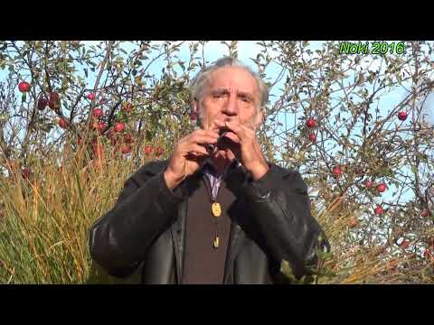 10.Petar Ljeparevic -  Dubocanka kolo YUTUB