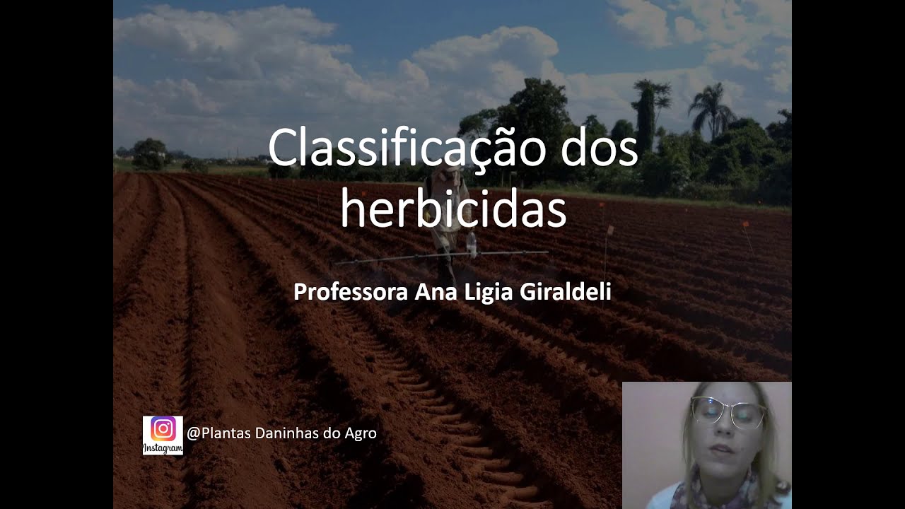 Classificação dos herbicidas