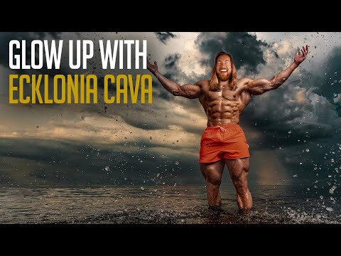 Glow, Grow, and Go: Ecklonia cava’s Beauty & Strength Secrets