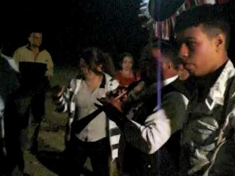 2008 Şenlik