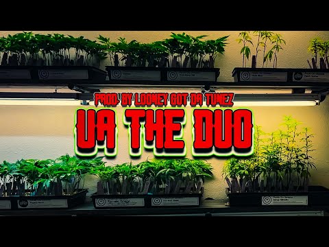 UA The Duo - Gassed Out (Official Music Video)Prod. By Looney Got Da Tunez - Dir. By SlowMo