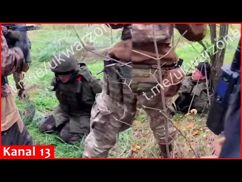 Lost in the forest, Russians come across Ukrainian soldiers – “These were left behind while fleeing”