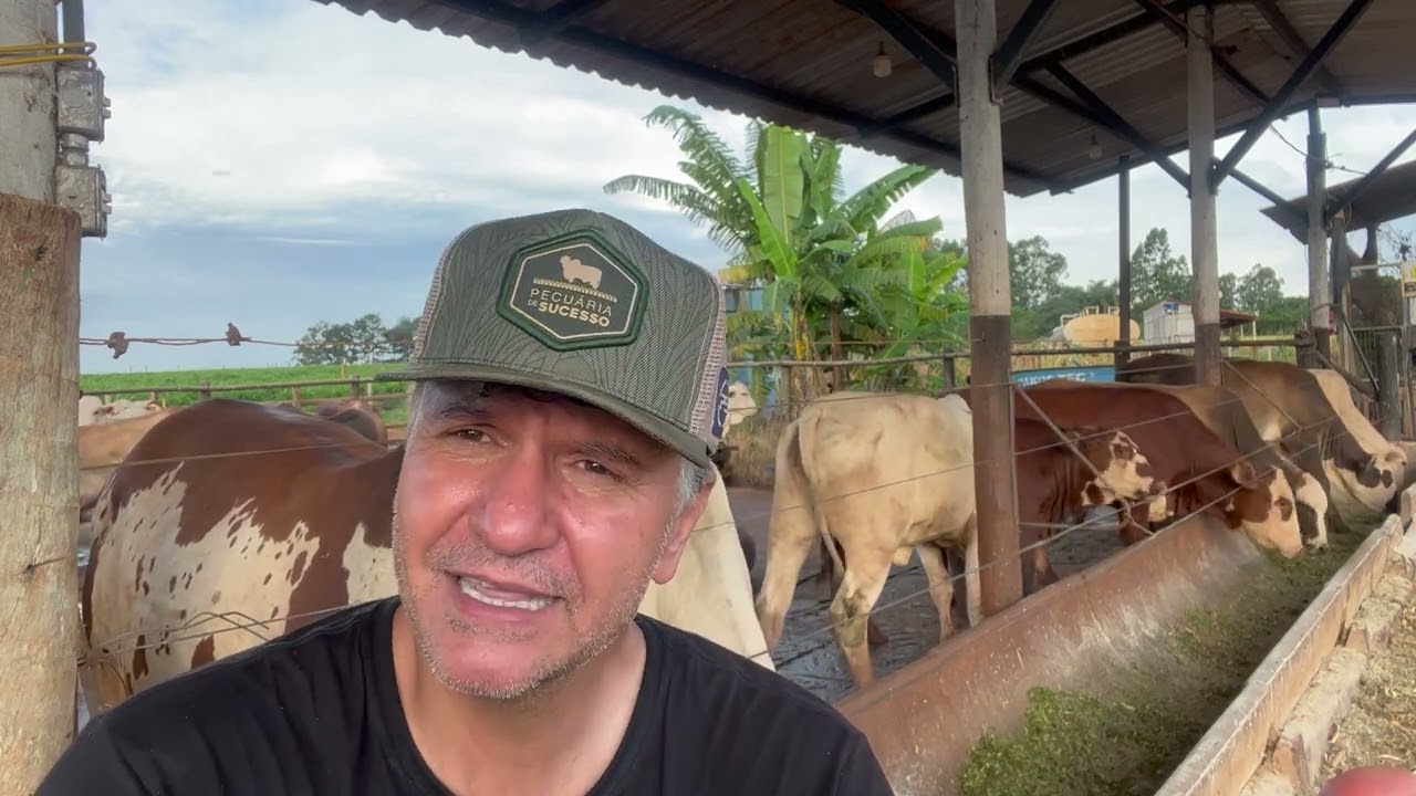 PORQUE EU FAÇO  A MINHA RAÇÃO? QUAL A VANTAGEM?