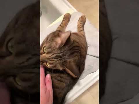 Roger and his masseuse