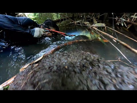 Part2: Ang aming Pakikipagtuos sa mga Karpa,Hito,Telapia,Dalag😲 #catchcleancook #SalamatPanginoon