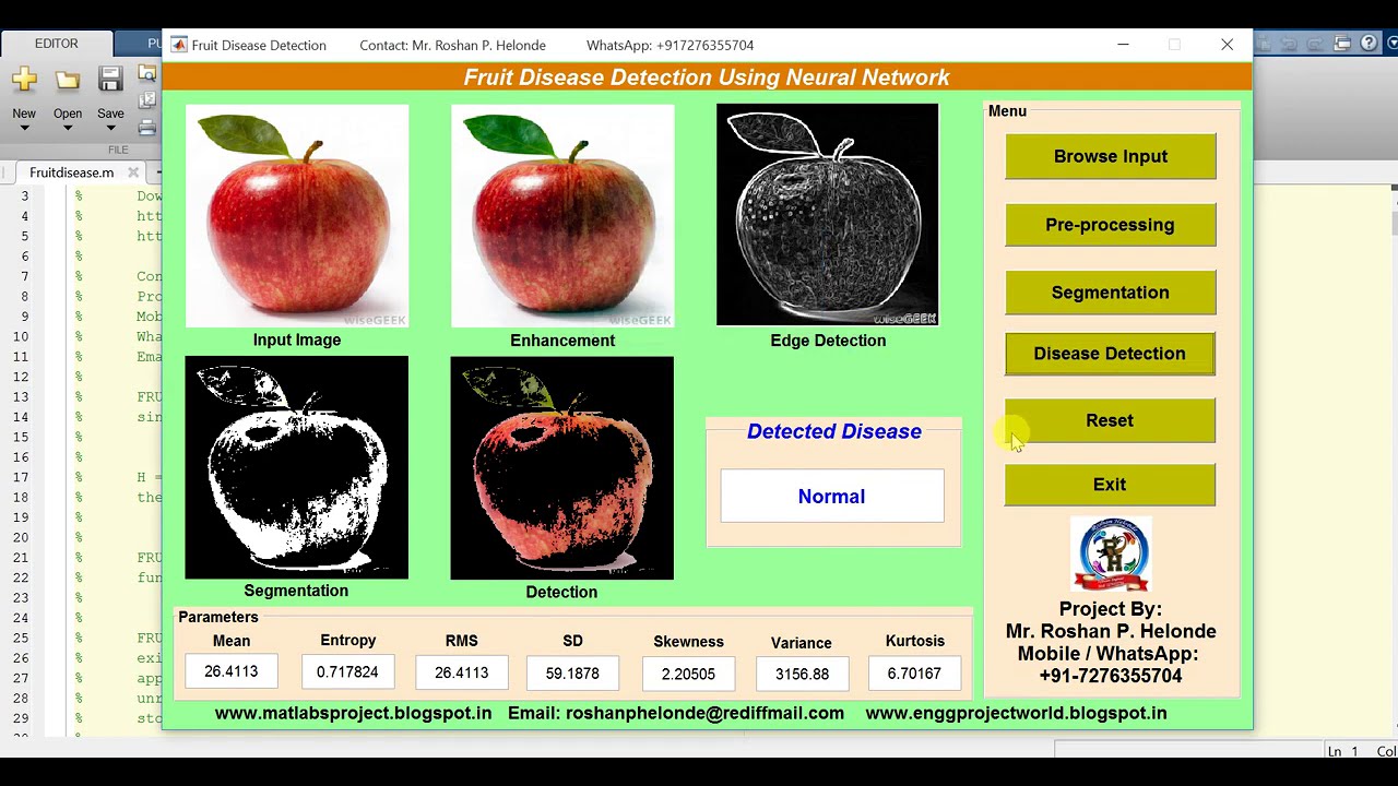 Fruit Disease Detection Using Neural Network | With Source Code