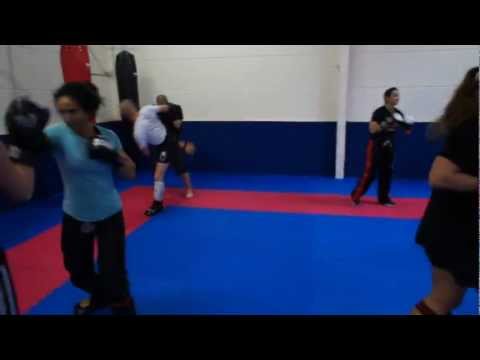 Rheinfighters, Techniktraining im Kickboxen