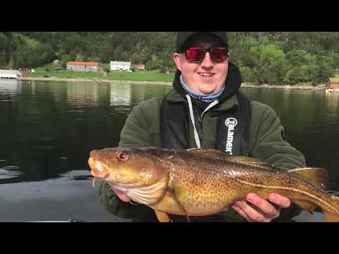 Trondheimsleia Mai 2019