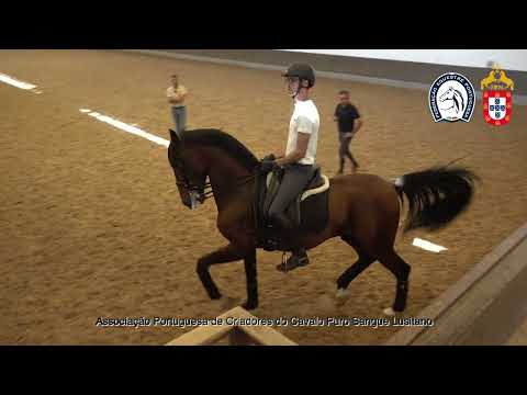 230417 13 Proj Ensino APSL&FEP - João Embaixador com Lancelot do Monte