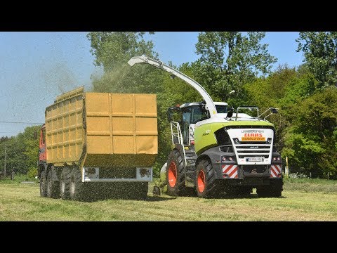Claas Jaguar 970-type 498 - Loonbedrijf Neyt - gras hakselen