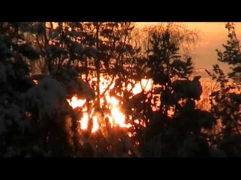 Tiistaiaamu tunnelmia 24.1.12