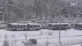 preview picture of video 'Snow in Redmond, Washington'