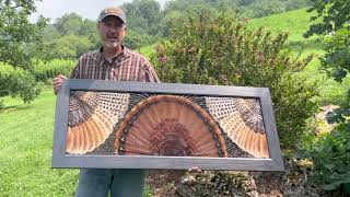52” x 21” feather art