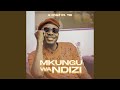 Mkungu Wa Ndizi Feat Tid