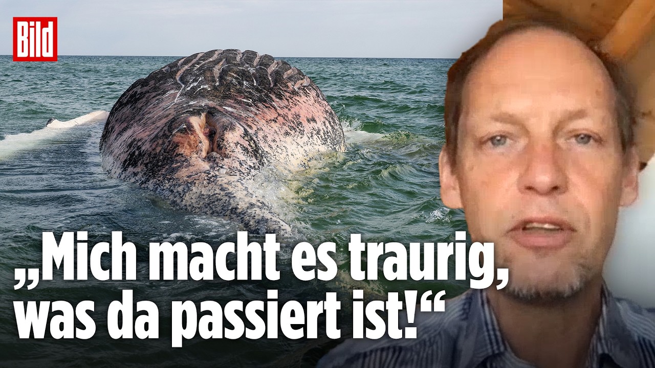 DRAMA UM TIMMY: Walforscher kritisiert Rettungsaktion und warnt vor Explosionsgefahr