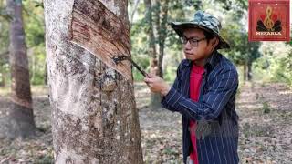 Download lagu AKU DULU AKU SEKARANG - CLANG VALLEY BY SAARI AMRI mp3 Download lagu AKU DULU AKU SEKARANG - CLANG VALLEY BY SAARI AMRI mp3