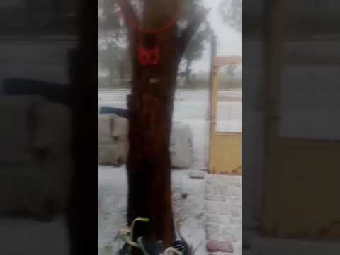 Carmen de Patagones, Buenos Aires 😱🤯Intensa caída de graupel (granizo muy blando) 03/09/25 #granizo