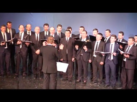 Concert umanitar - Cor bărbătesc Moisei - Bârlad 23 aprilie 2016 - partea I