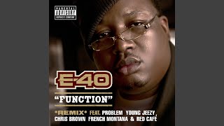 Function (Remix) (feat. Problem; Young Jeezy; Chris Brown; French Montana; Red Café)
